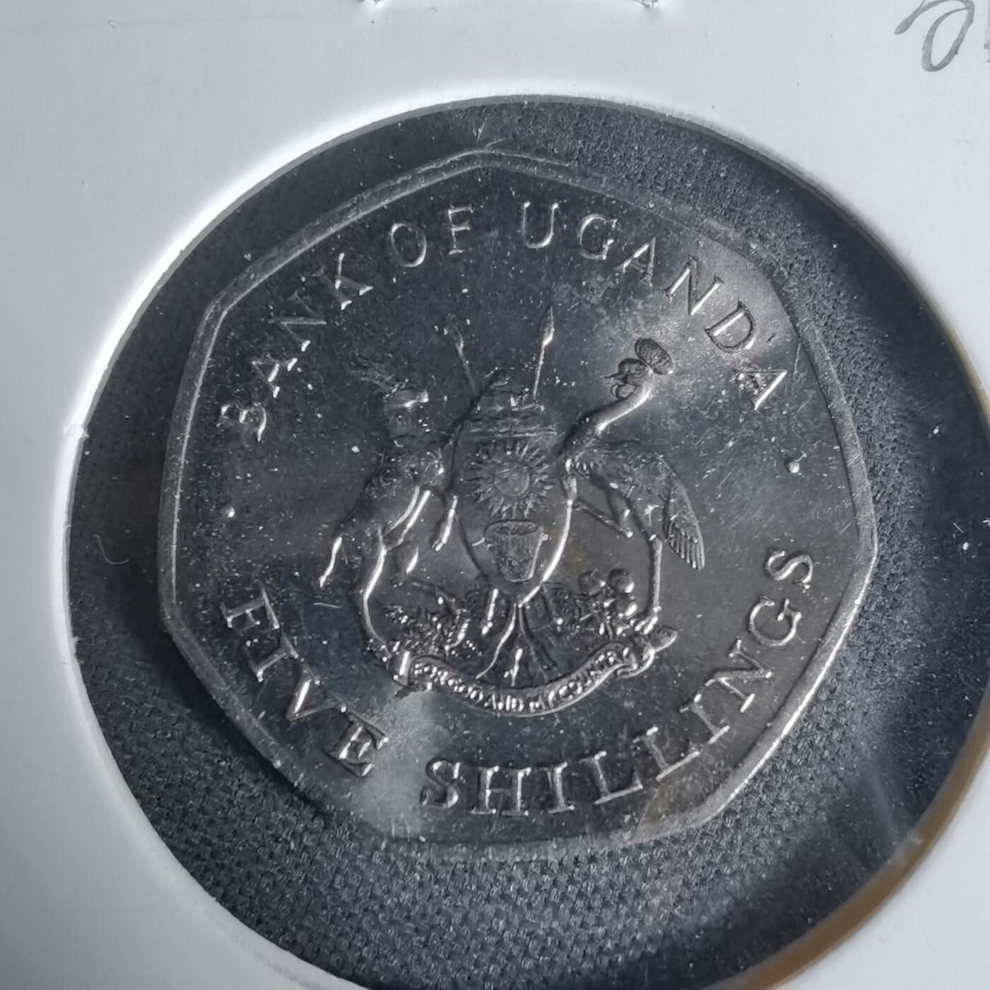 沼泽如烟--第1006场