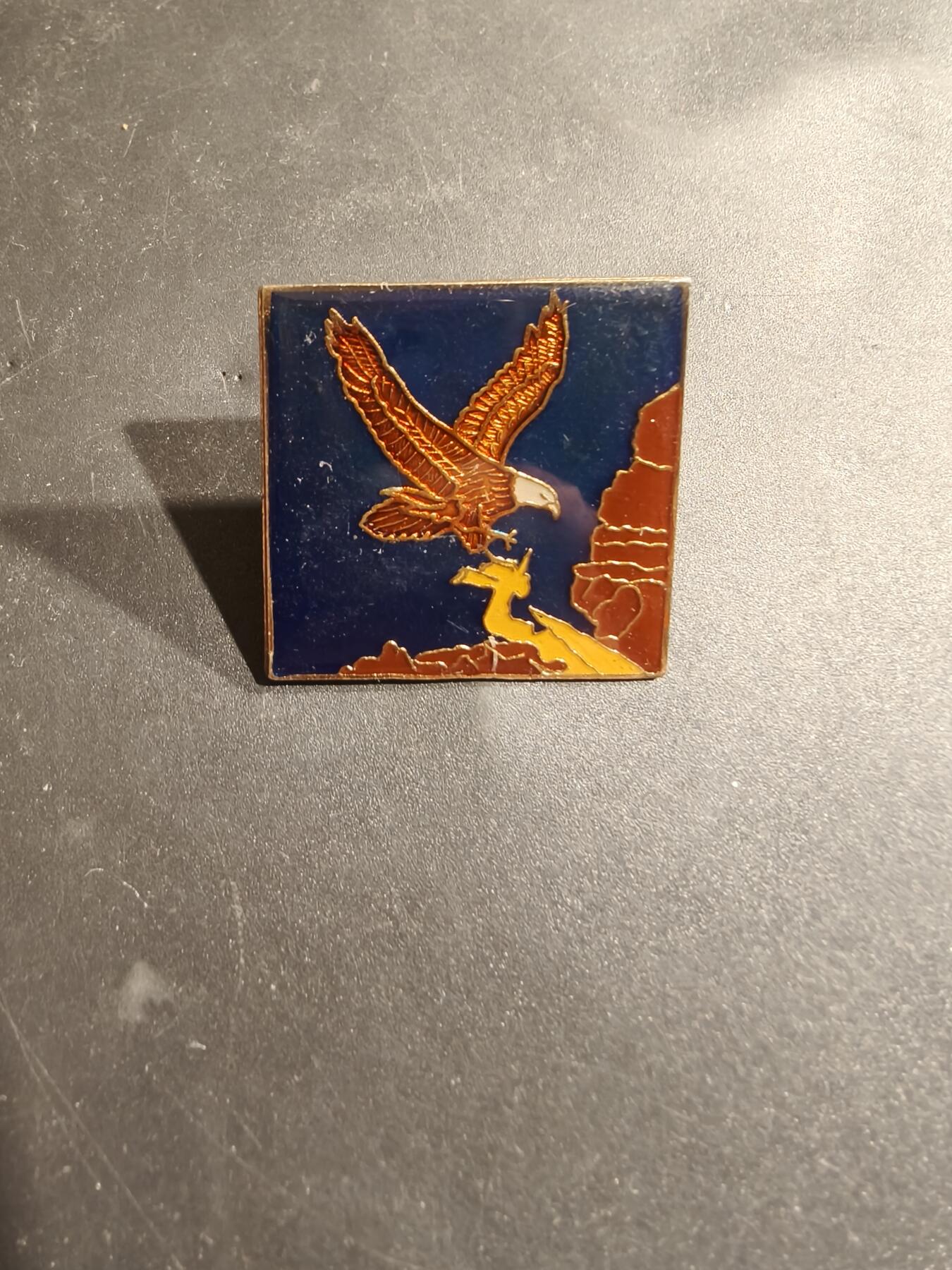 老王徽章第185期 美国徽章