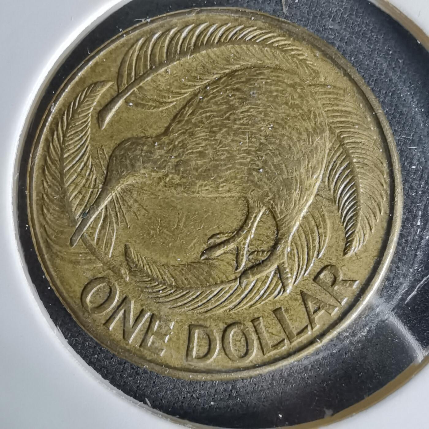 沼泽如烟--第1006场