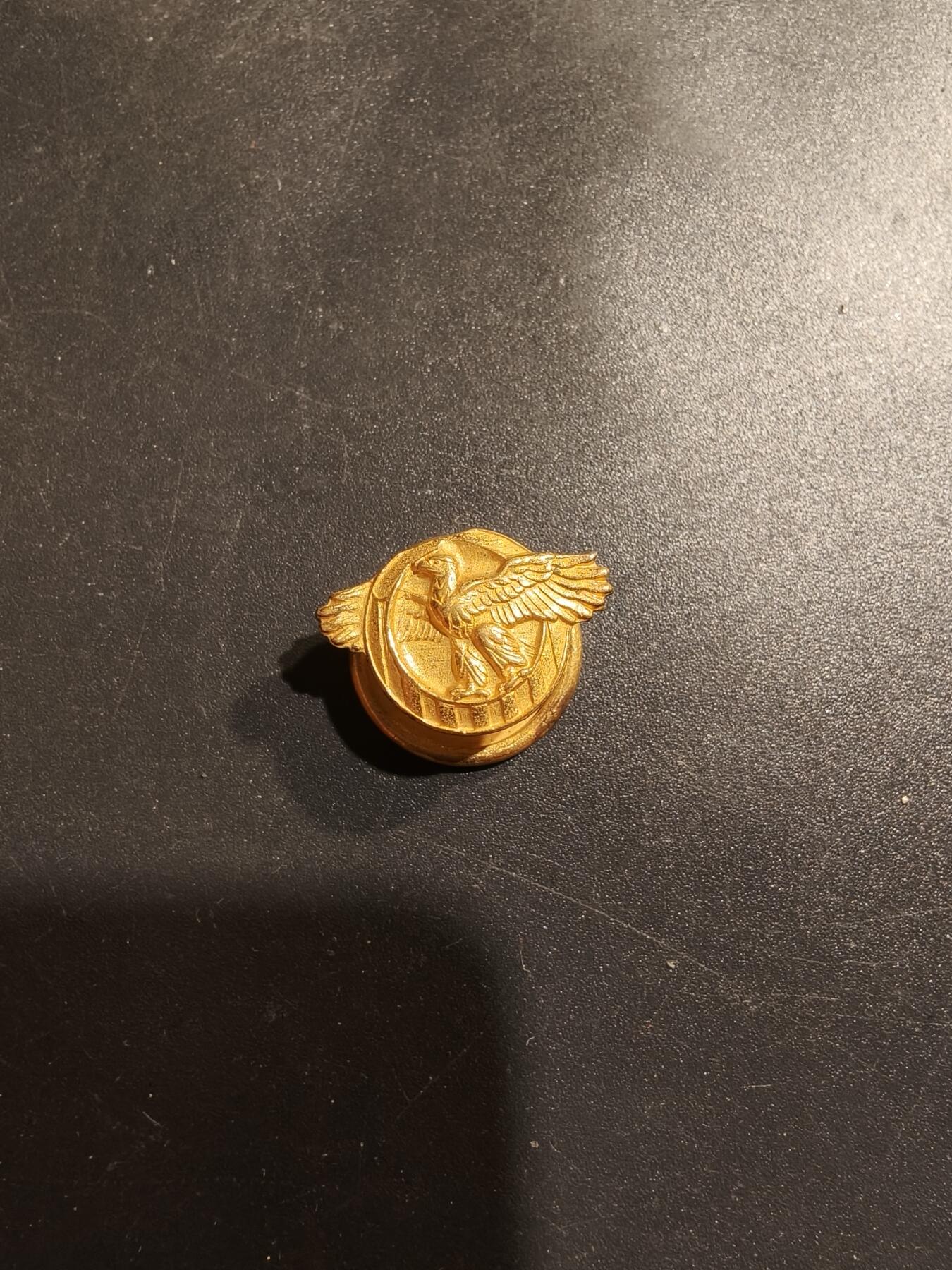 老王徽章第185期 美国老兵协会证章