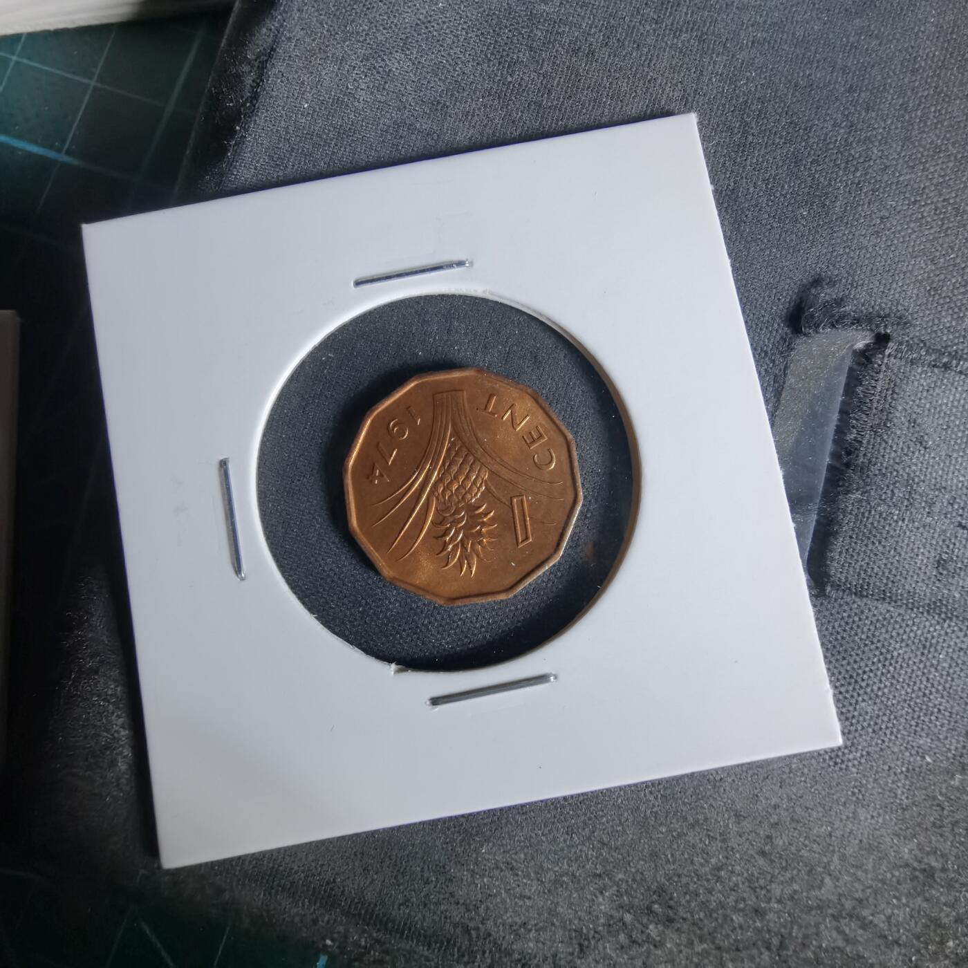 沼泽如烟--第1006场