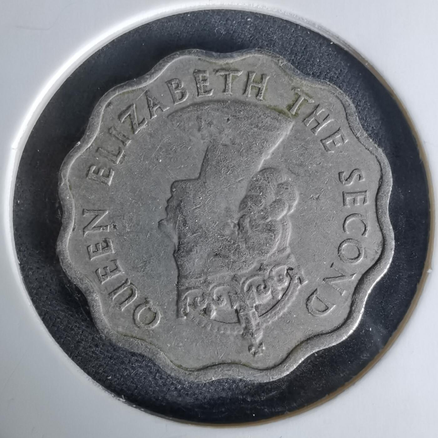 沼泽如烟--第1006场