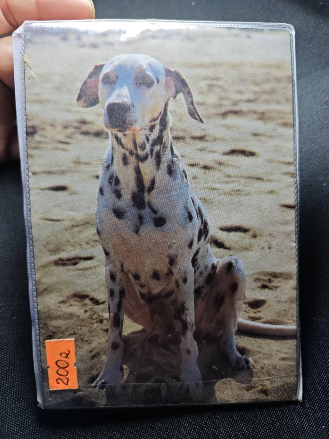 KK钱币收藏小铺   套币 批量/好品散币专场 2月预留时间 周末发货