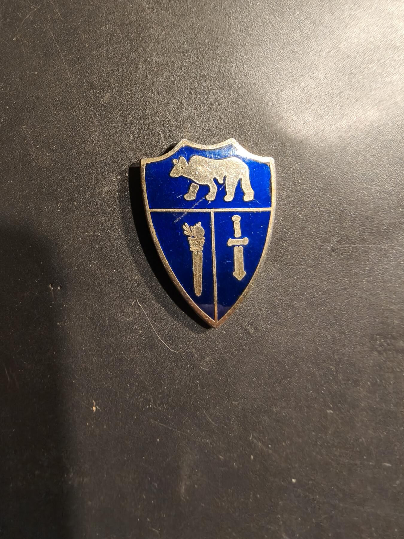 老王徽章第185期 美国加州学院部队证章