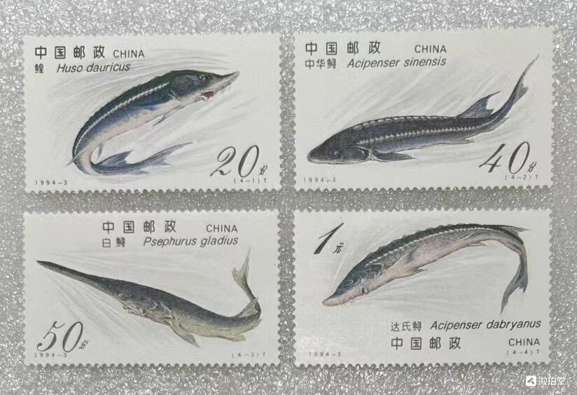 “珍稀动物—中华鲟”邮票1套4枚。