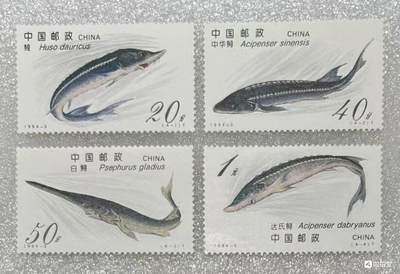 “珍稀动物—中华鲟”邮票1套4枚。 - “珍稀动物—中华鲟”邮票1套4枚。