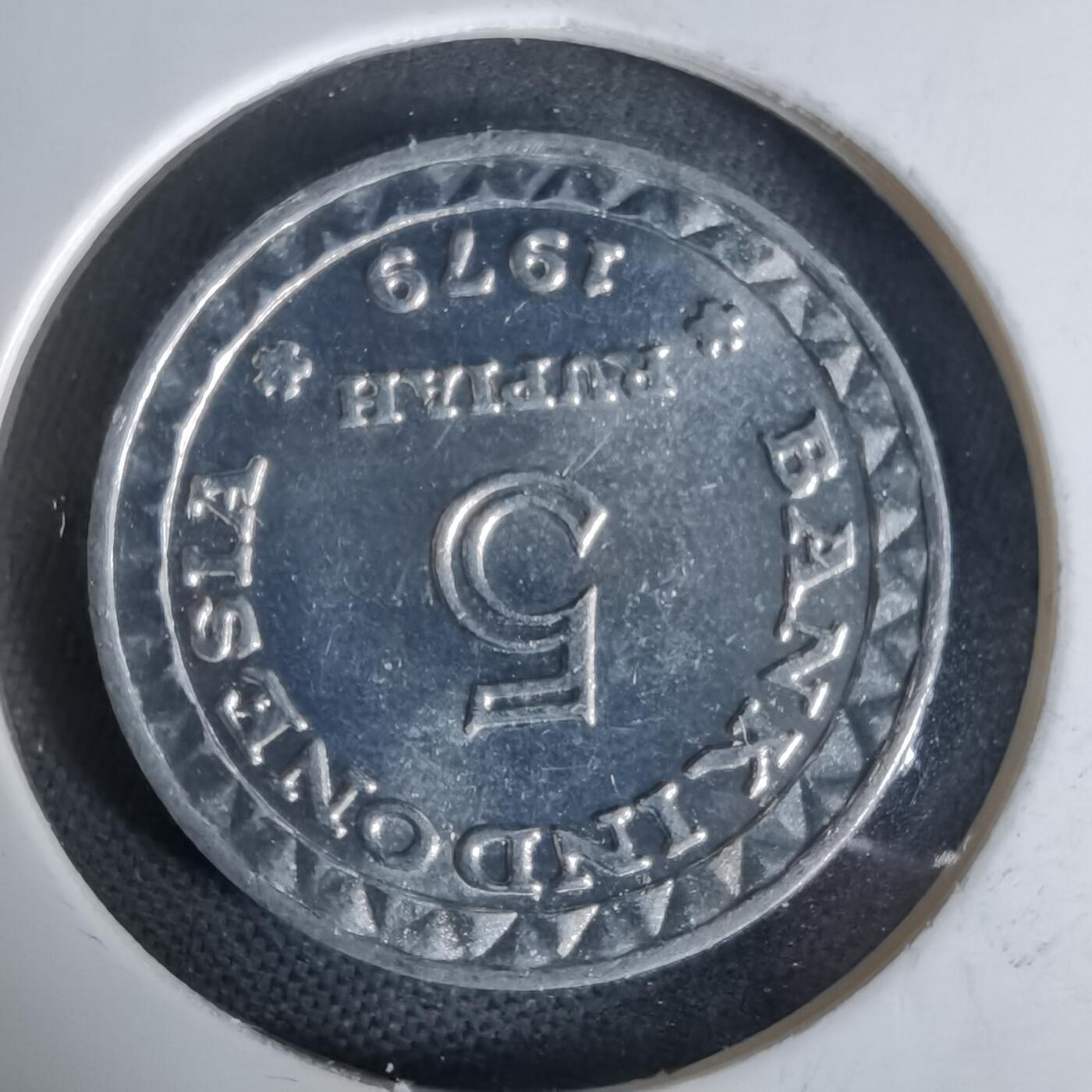 沼泽如烟--第1006场