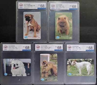 公藏第131期评级卡拍卖 - 北京田村卡（世界名犬）10全公博68分。
