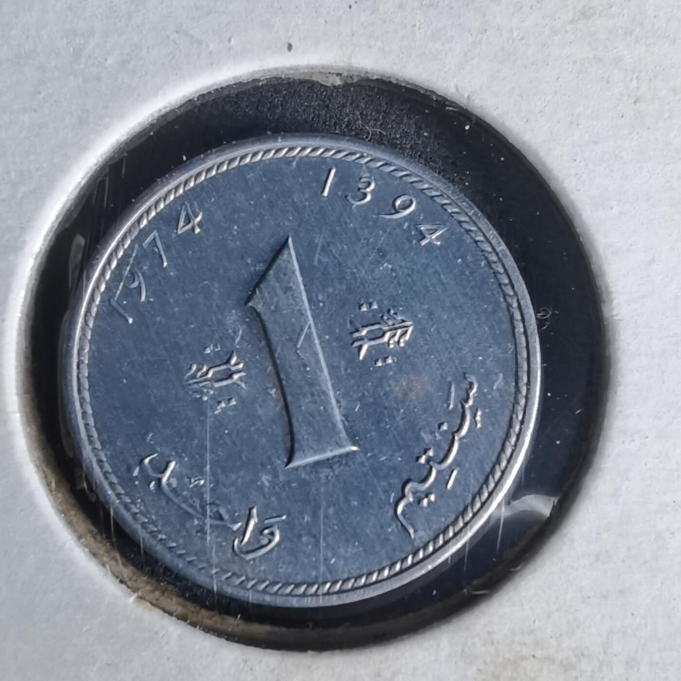 沼泽如烟--第1006场