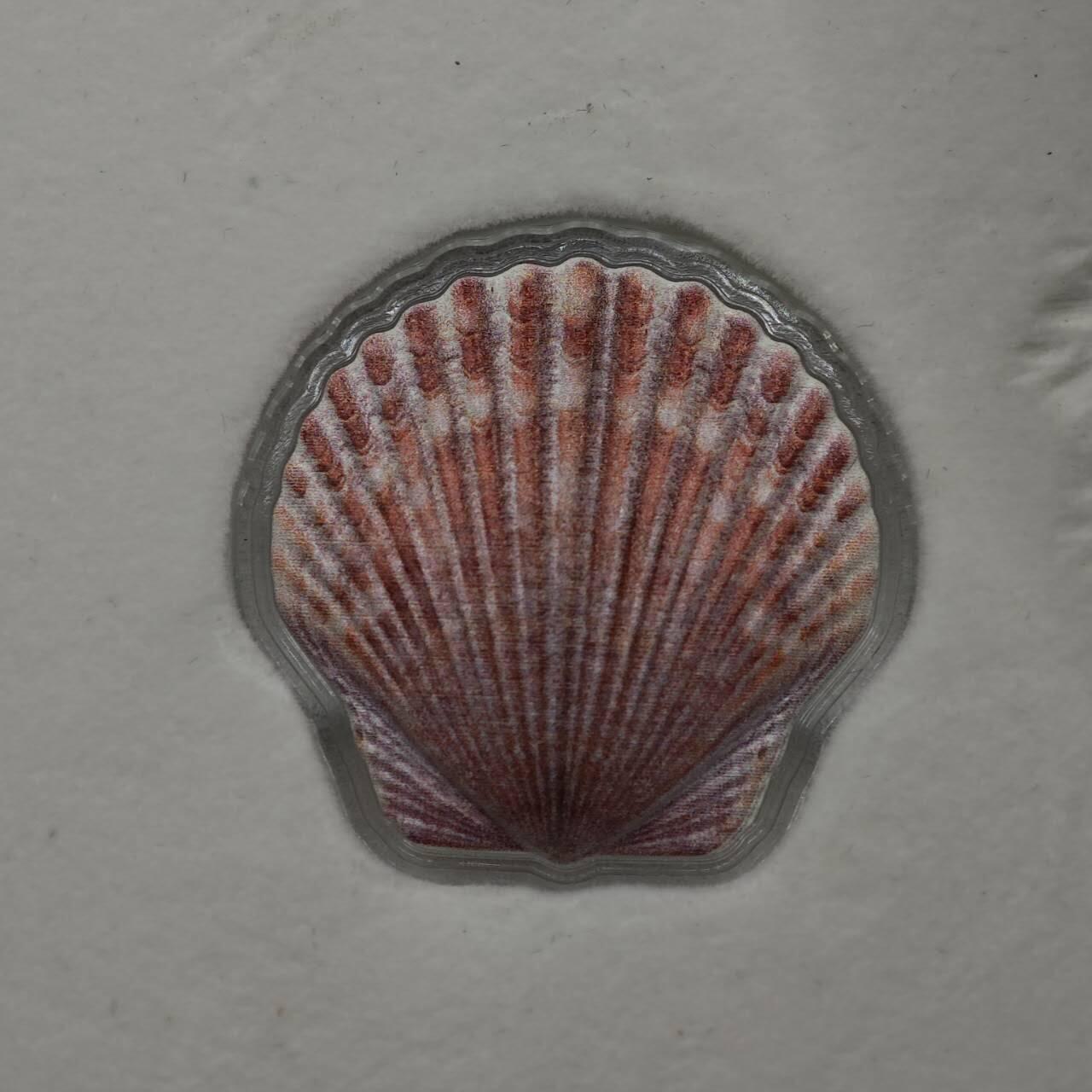 【淘币小摊】实时拍第八百七十三拍   银币套币场    每周一统一发货 斐济2019年1元彩色异形精制银币 扇贝 10克999银 发行量：1万 盒证全 