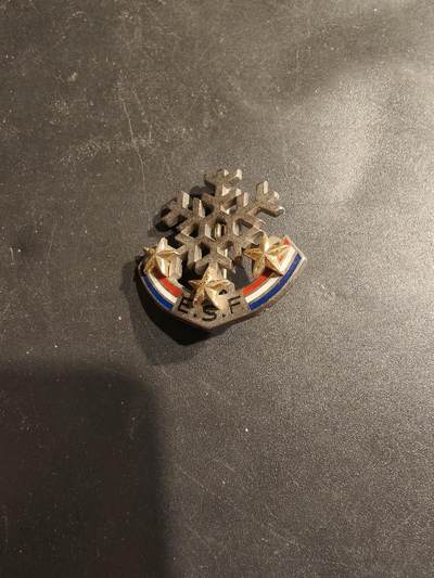 老王徽章第185期 - 法国高山滑雪军事技能学校证章