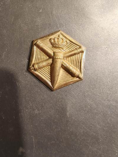 老王徽章第185期 - 荷兰陆军防空炮兵贝雷帽徽