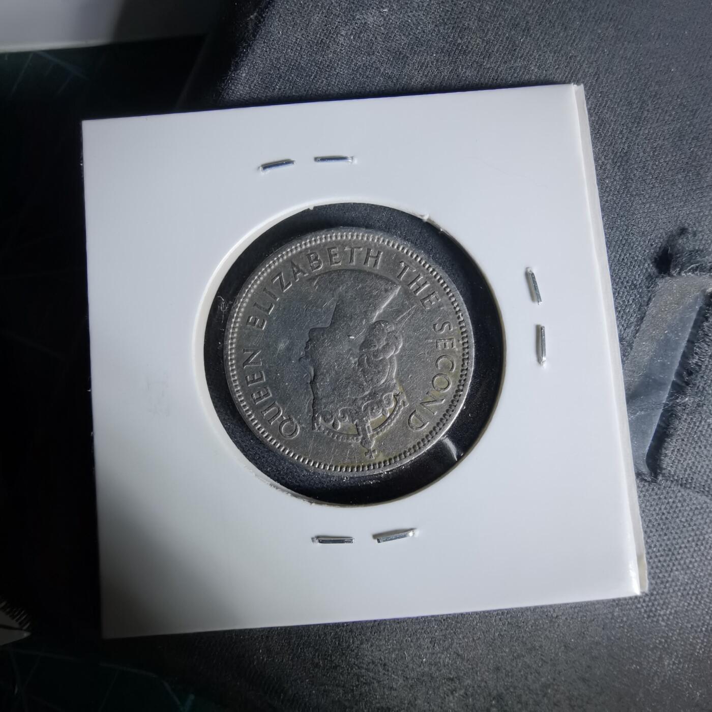 沼泽如烟--第1006场