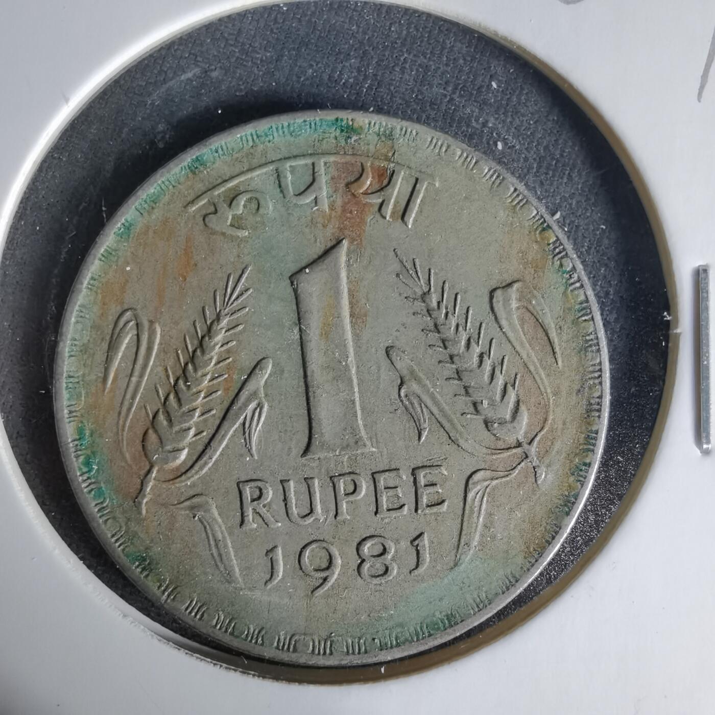 沼泽如烟--第1006场