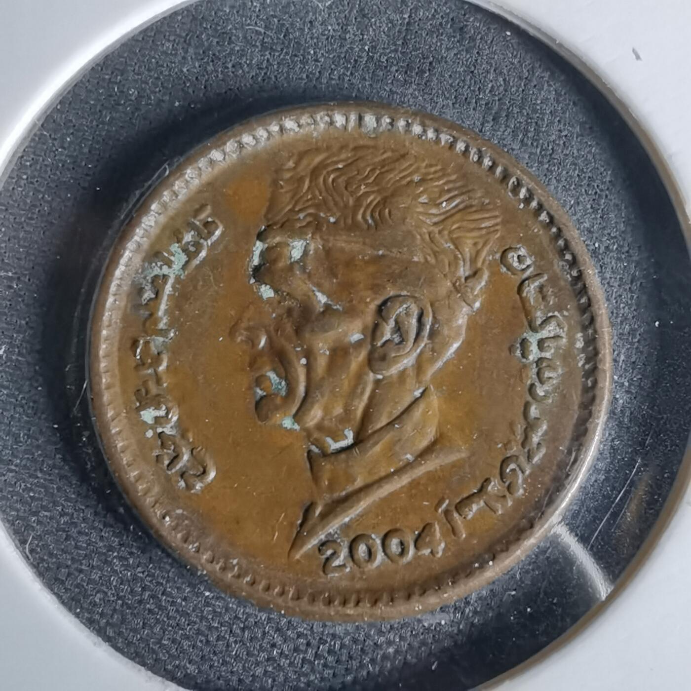 沼泽如烟--第1006场