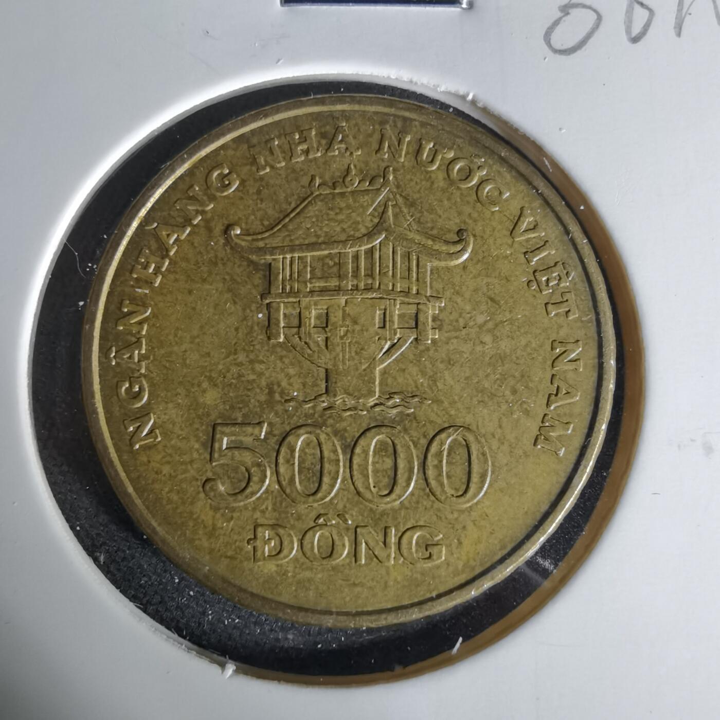 沼泽如烟--第1006场