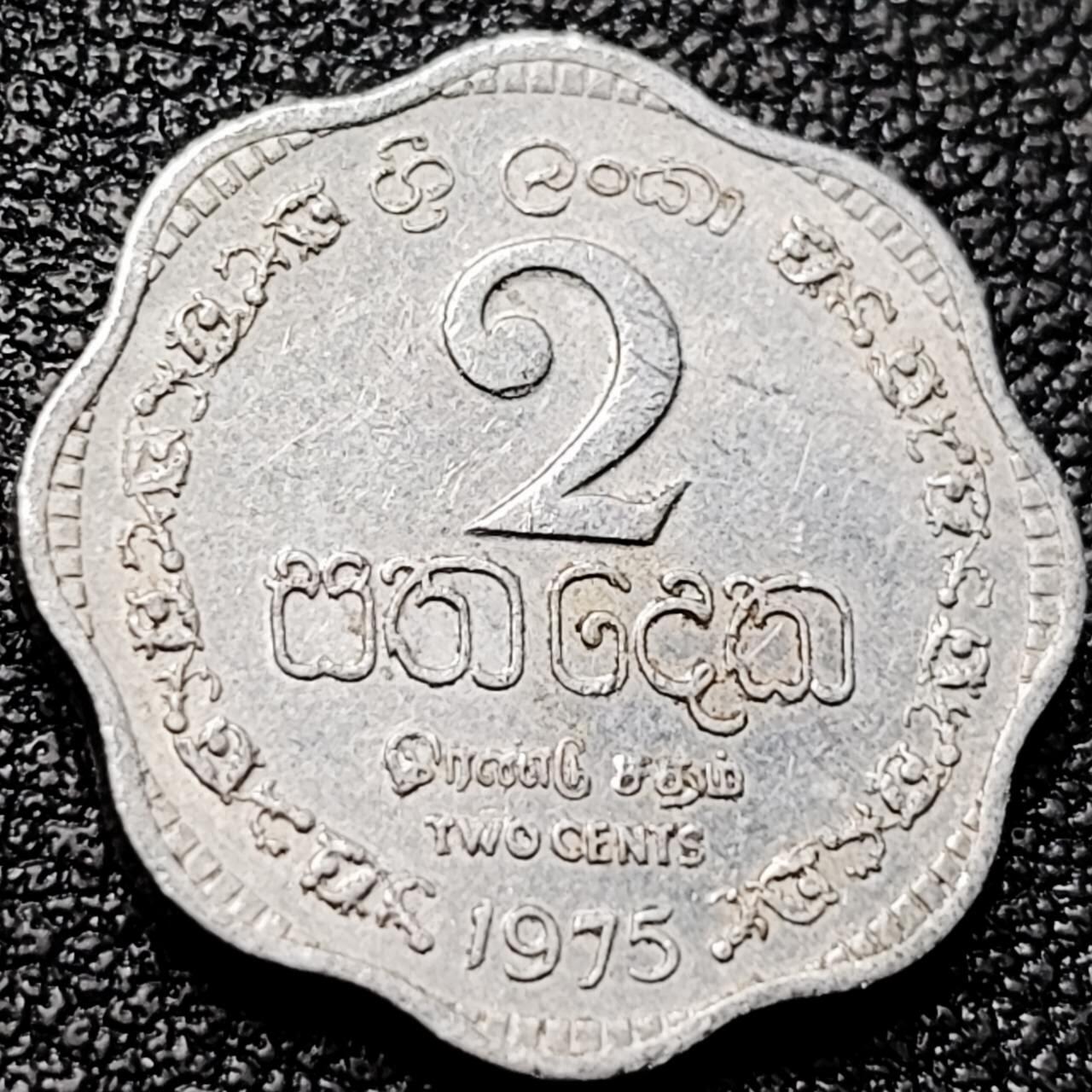 泉币菌-第203场-本场拍品多 请提前出价（正月十五统一发货） 。