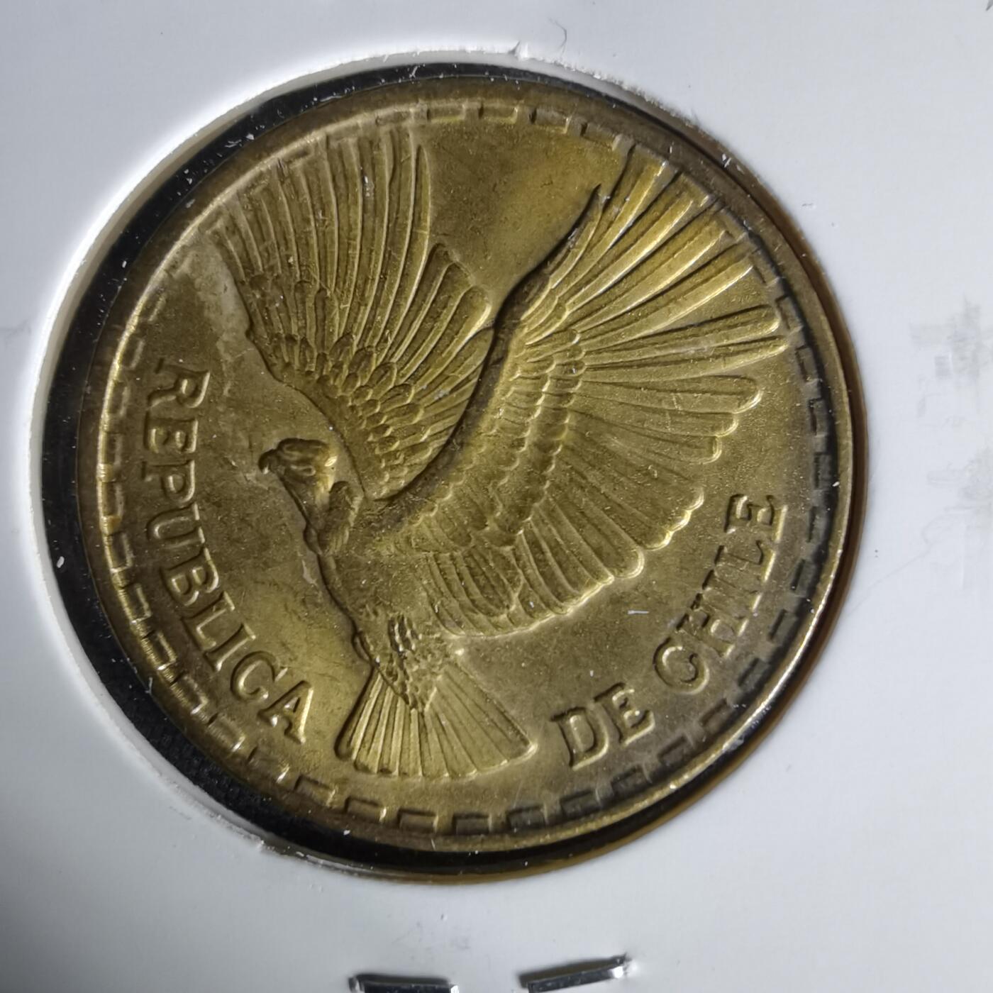 沼泽如烟--第1006场