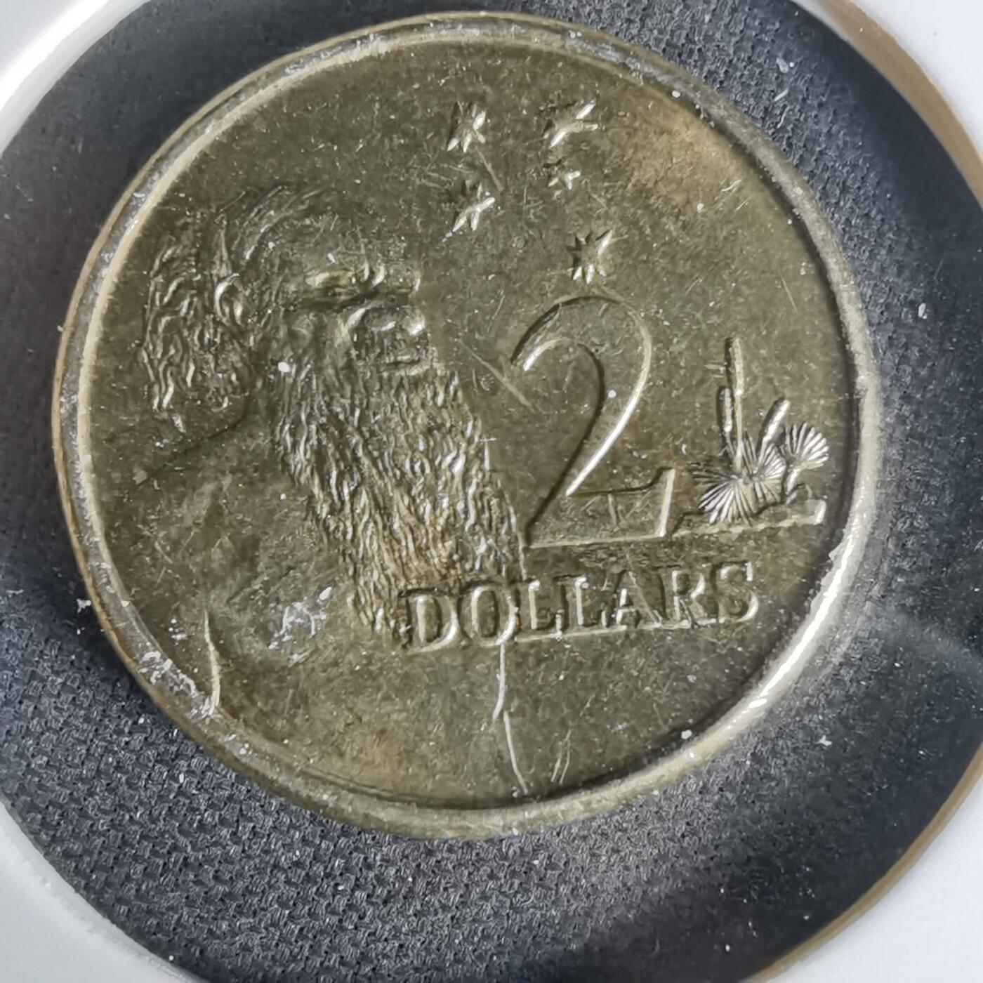 沼泽如烟--第1006场