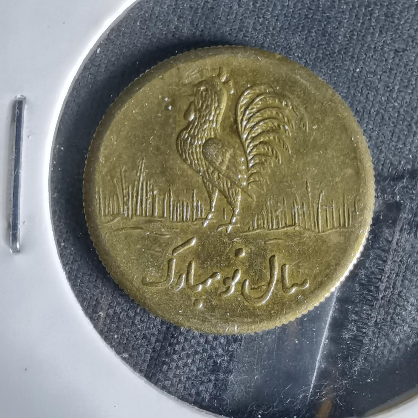 沼泽如烟--第1006场