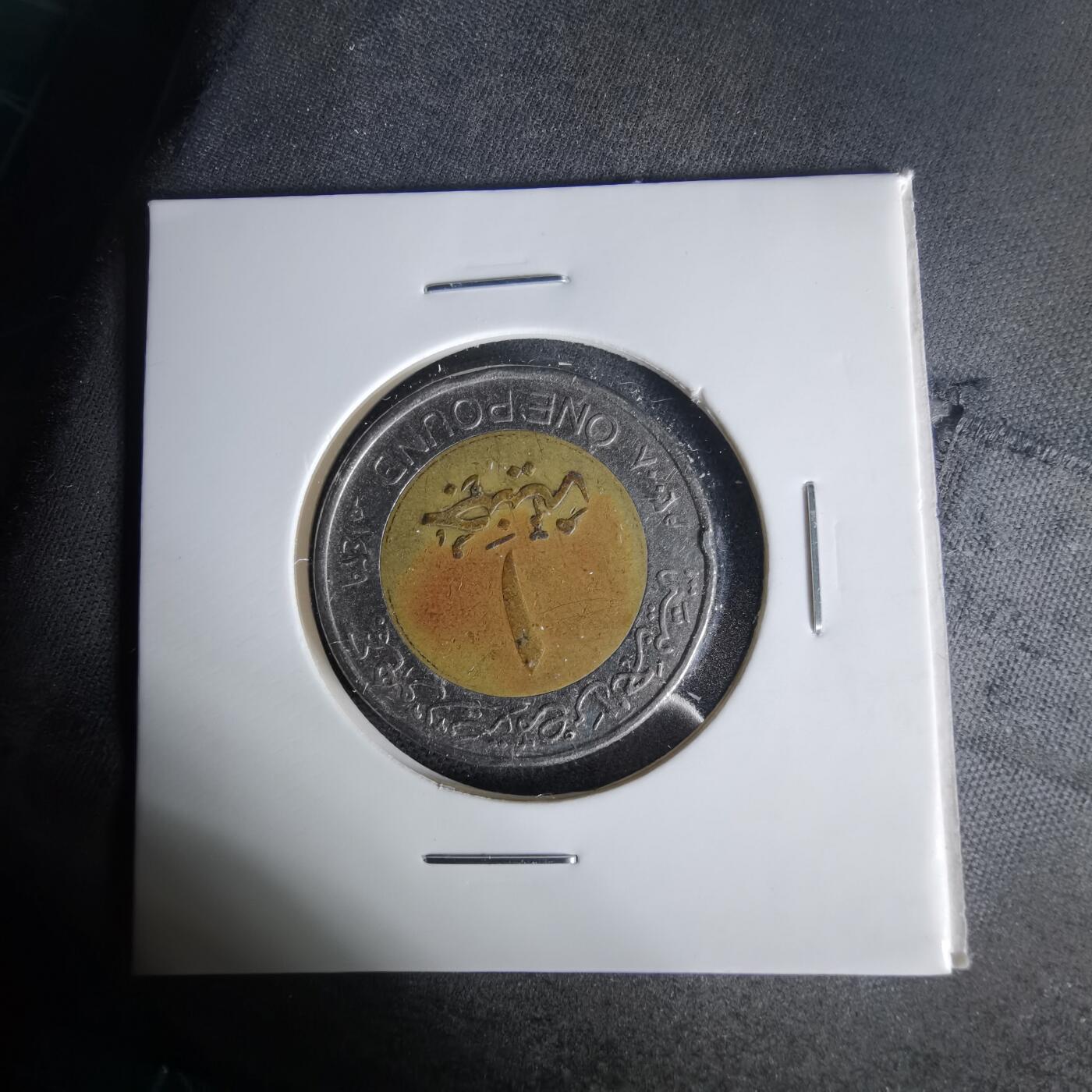 沼泽如烟--第1006场 埃及一磅