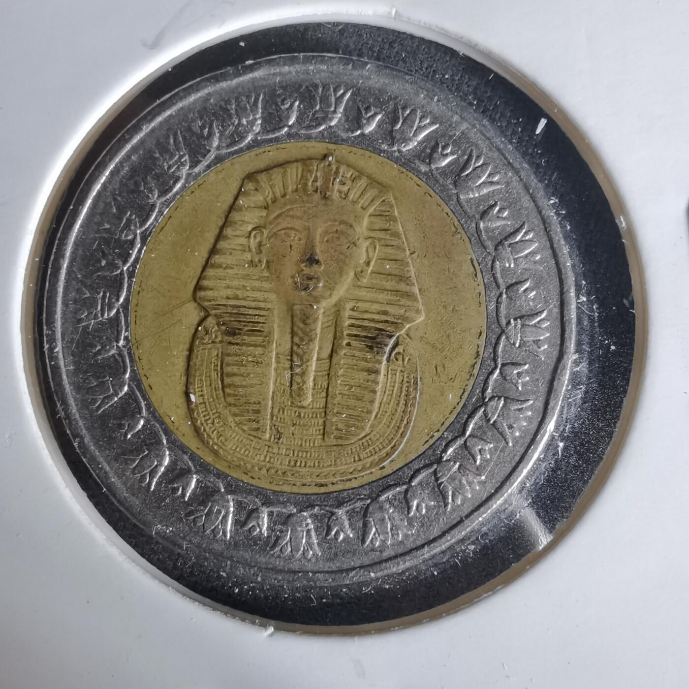 沼泽如烟--第1006场 埃及一磅