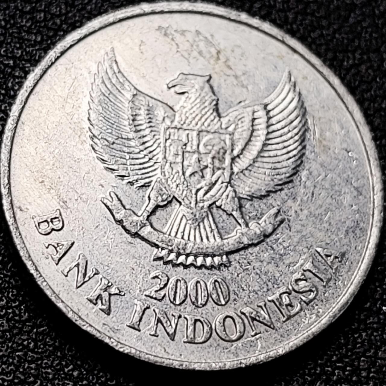 泉币菌-第203场-本场拍品多 请提前出价（正月十五统一发货） 。