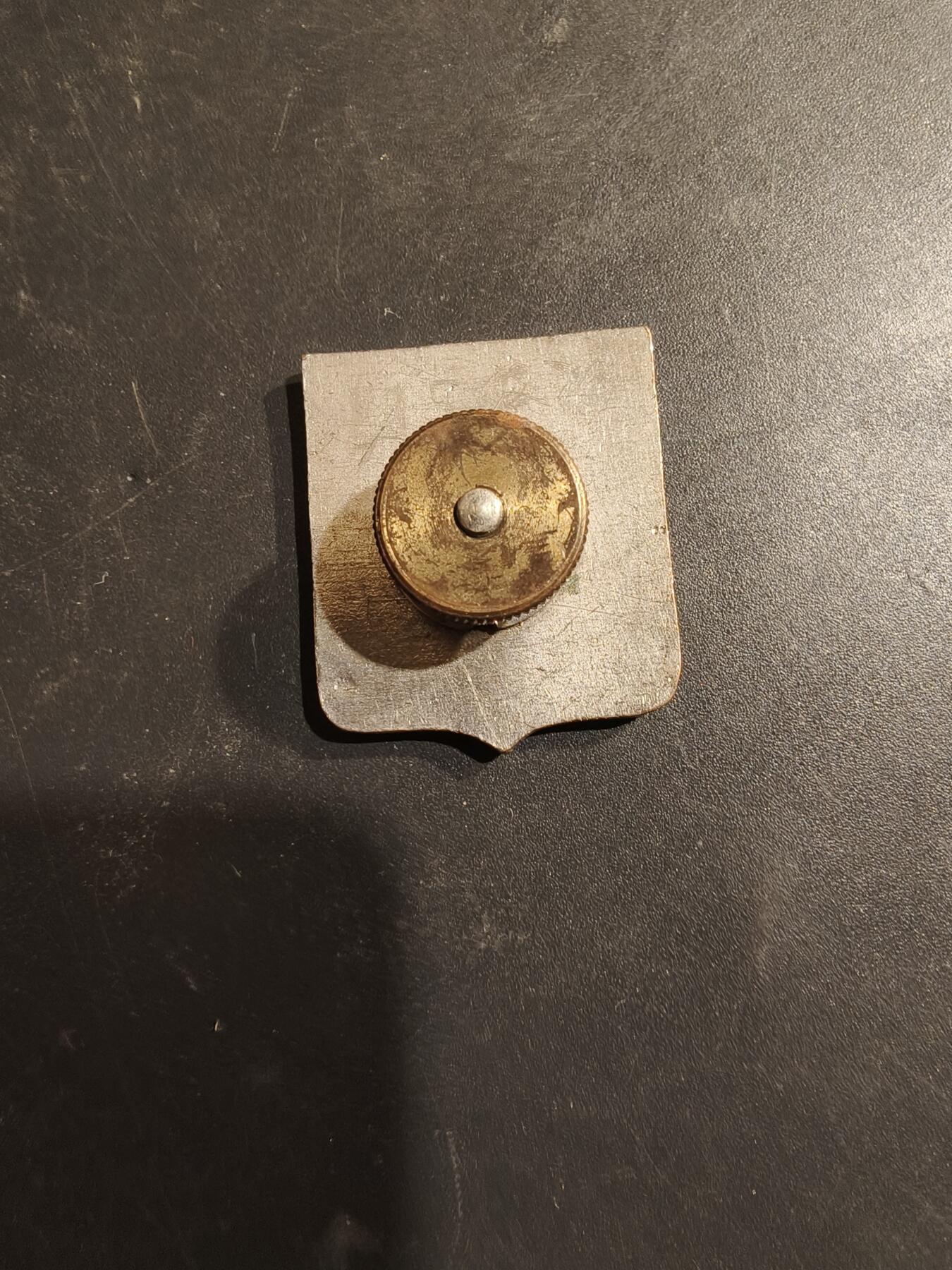 老王徽章第185期 美国陆军第115补给营证章