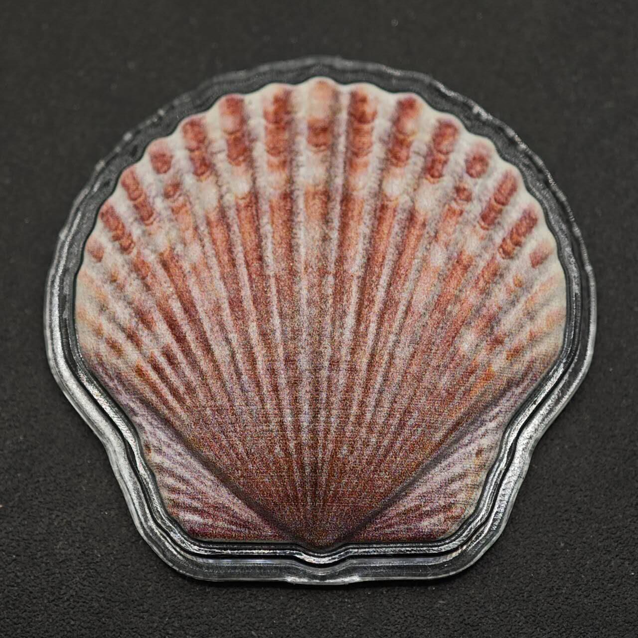 【淘币小摊】实时拍第八百七十三拍   银币套币场    每周一统一发货 斐济2019年1元彩色异形精制银币 扇贝 10克999银 发行量：1万 盒证全 