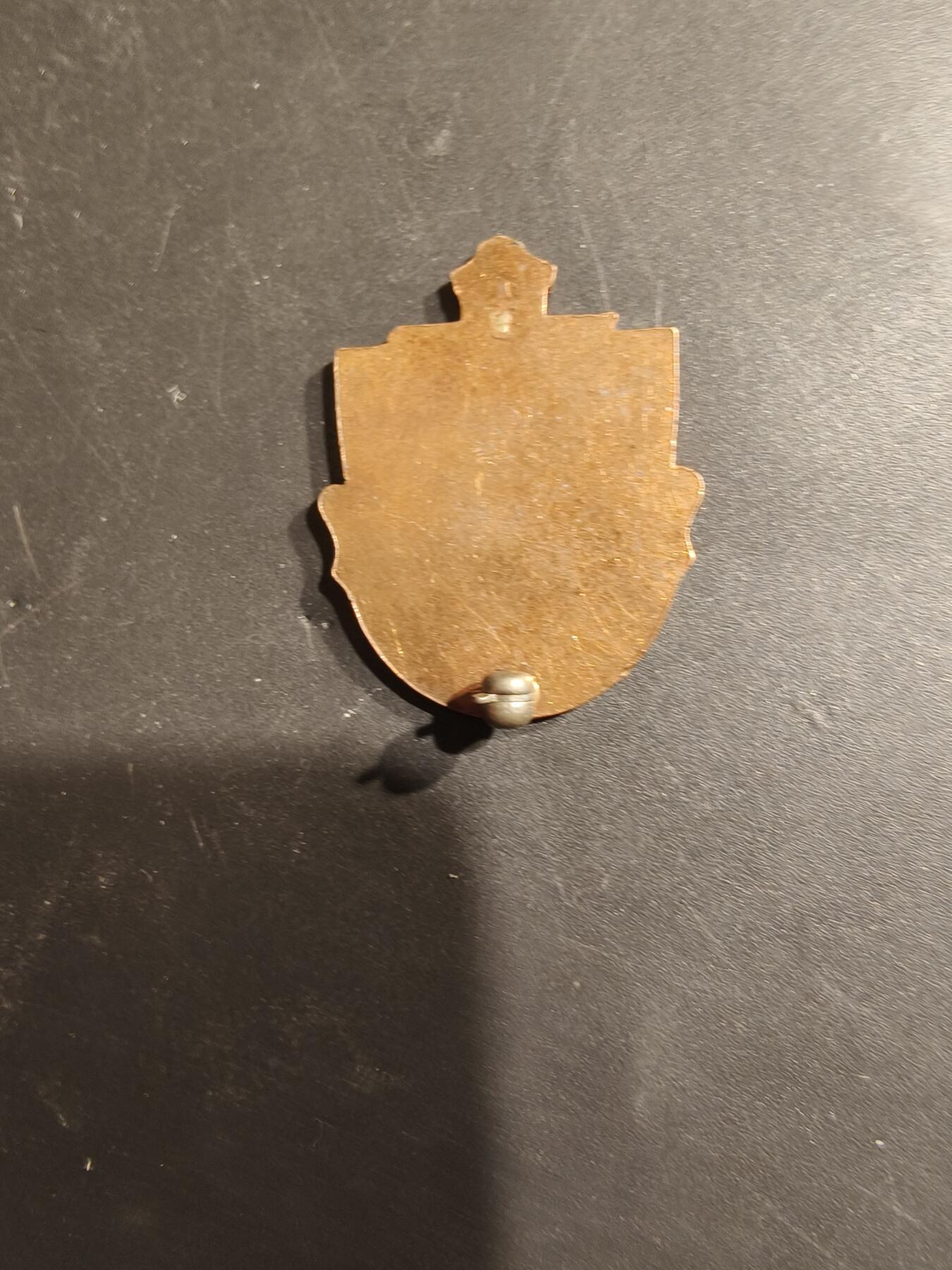 老王徽章第185期 美国陆军第131步兵团证章    二战时期铜质珐琅