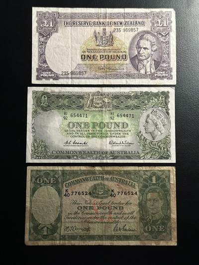 丙午马年开年第三场（大更新） - 澳大利亚以及新西兰早期1镑一组三张，流通品相。品种都非常不错！