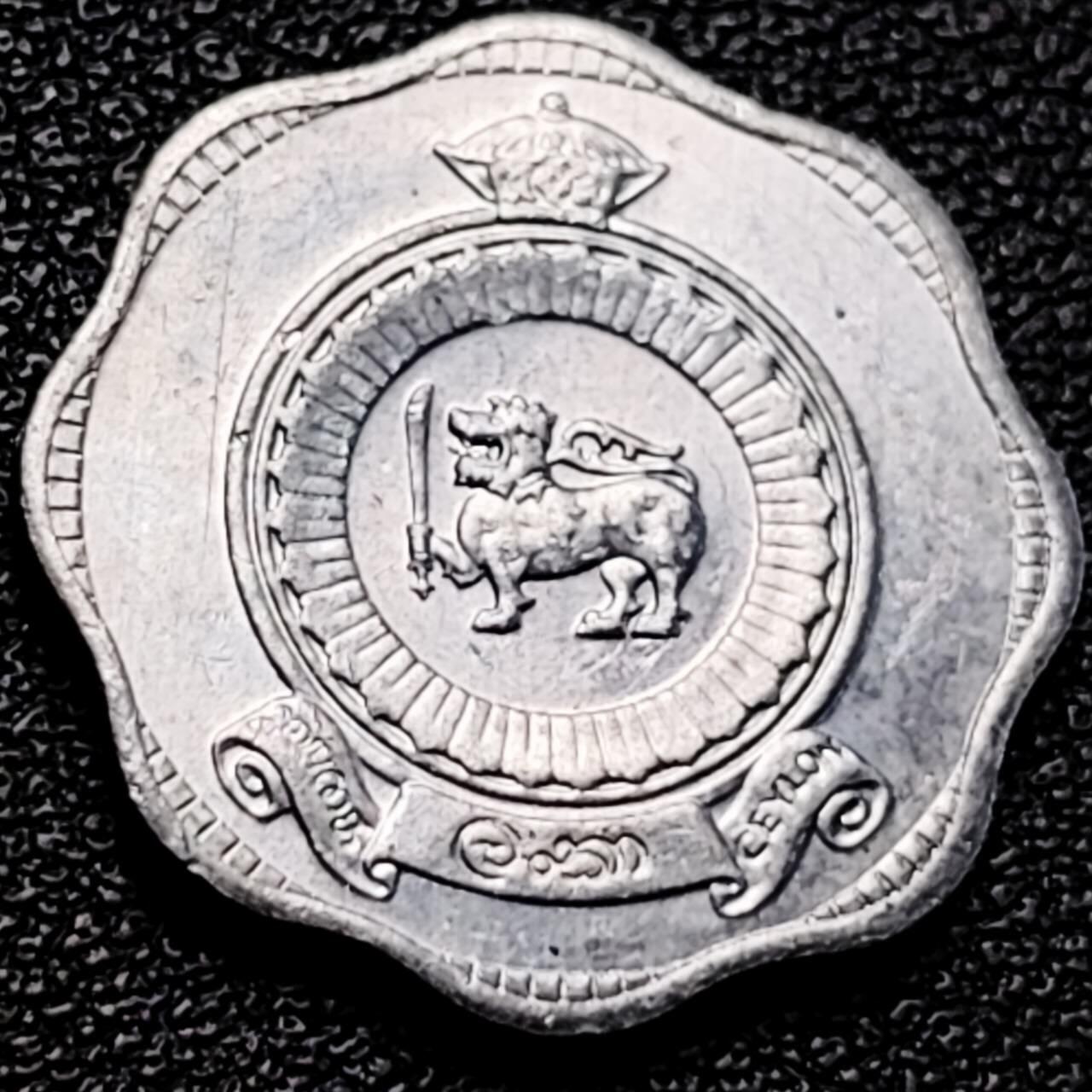 泉币菌-第204场-元宵节专场 本场拍品多 请提前出价