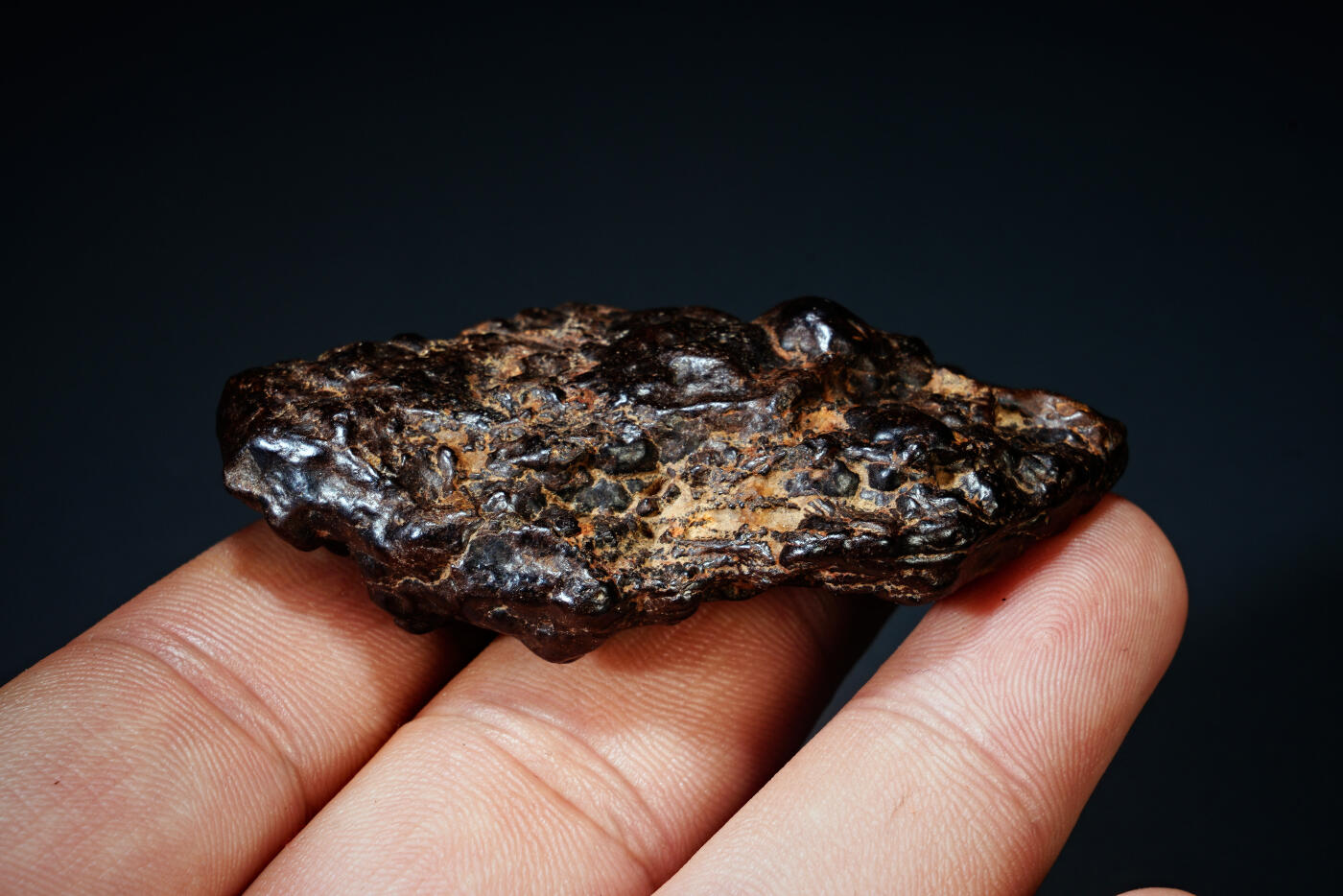 上海都达杂项专场四十四【全场包邮】  陨石连座91-92