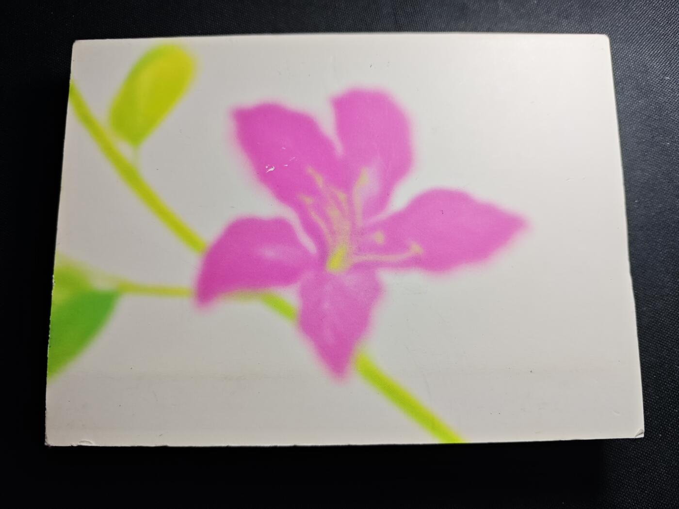 KK钱币收藏小铺   套币 批量/好品散币专场 2月预留时间 周末发货