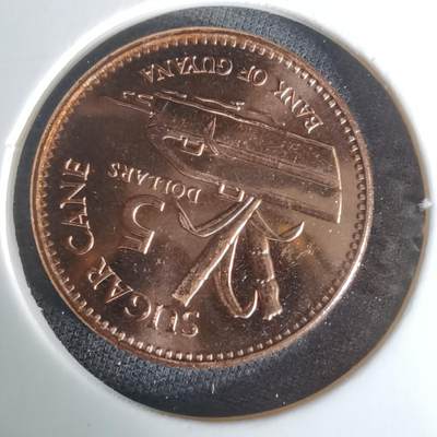 沼泽如烟--第1008场 - 圭亚那2019年五元