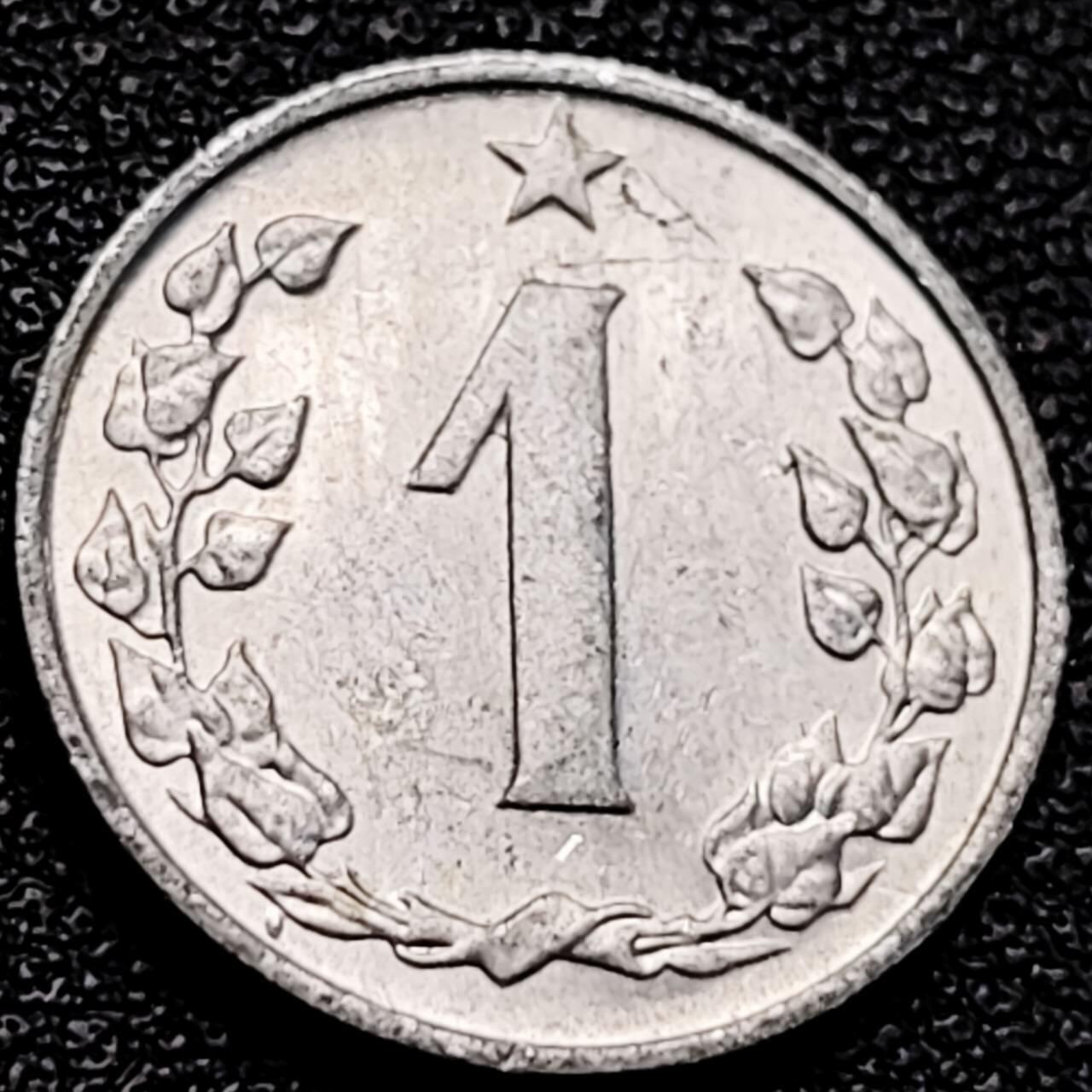 泉币菌-第204场-元宵节专场 本场拍品多 请提前出价