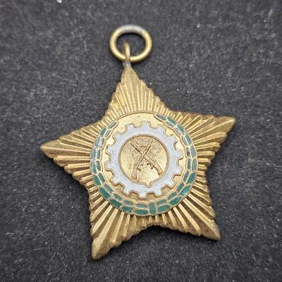 0元起拍勋章 第336期 咸鱼国勋章拍卖专场 3月4日（周三）下午6：00开始 - 缅甸奖章