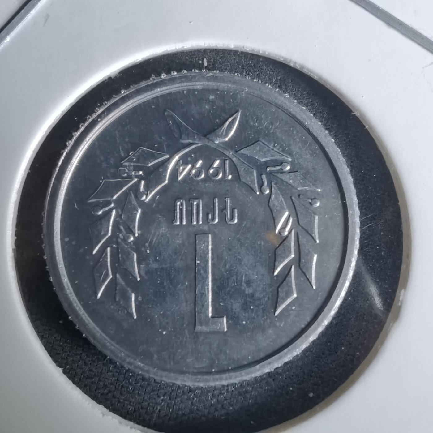 沼泽如烟--第1008场