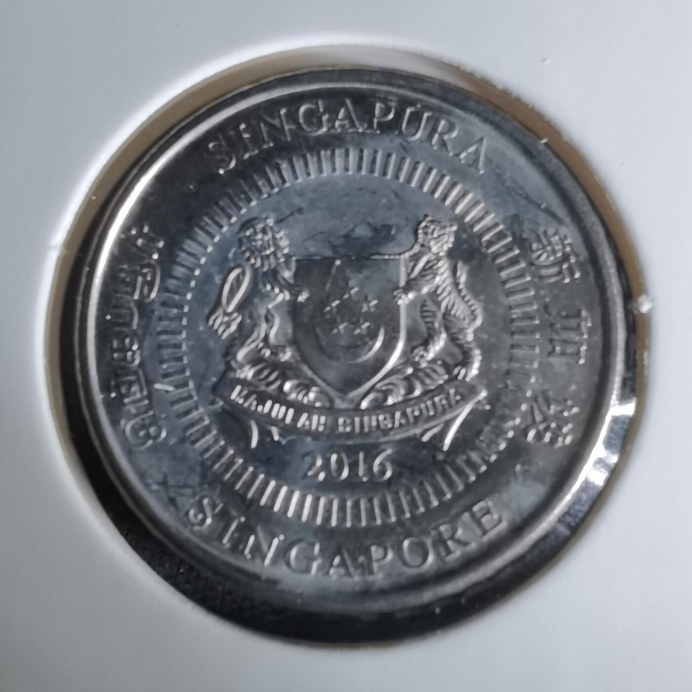 沼泽如烟--第1008场