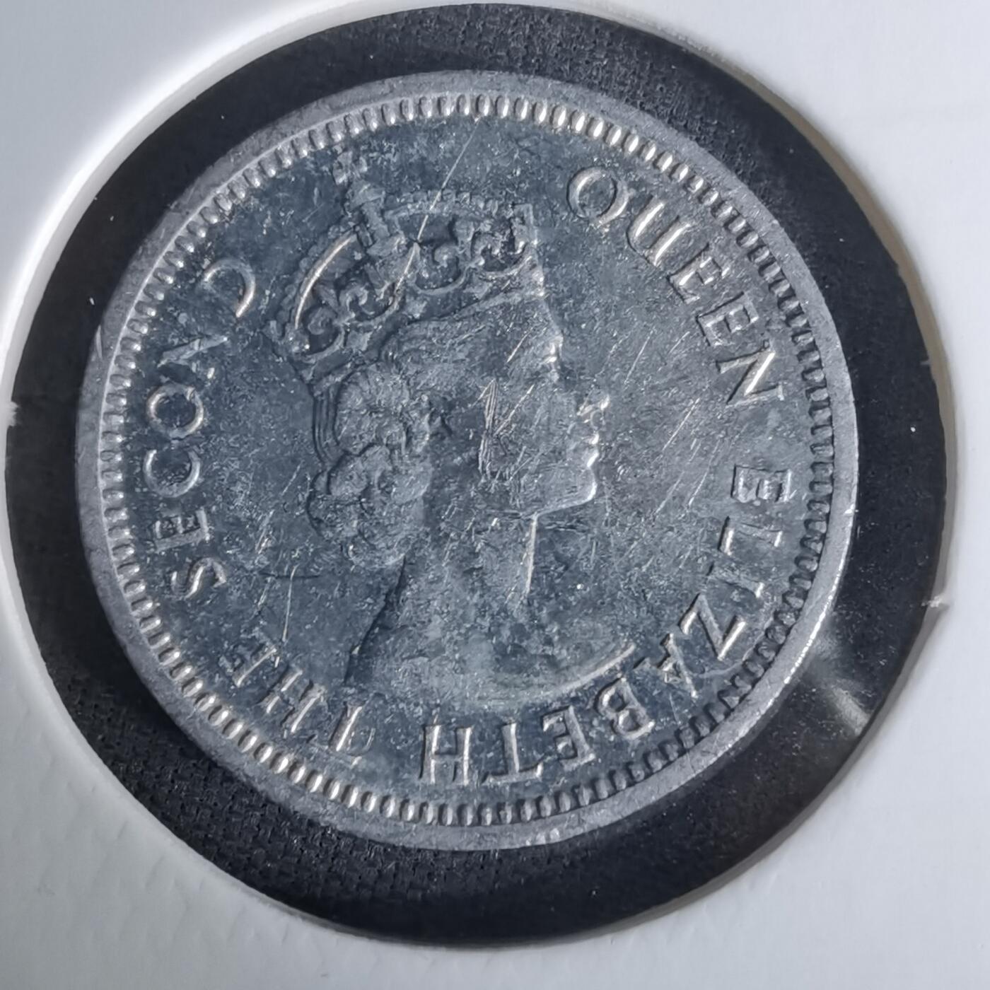 沼泽如烟--第1008场