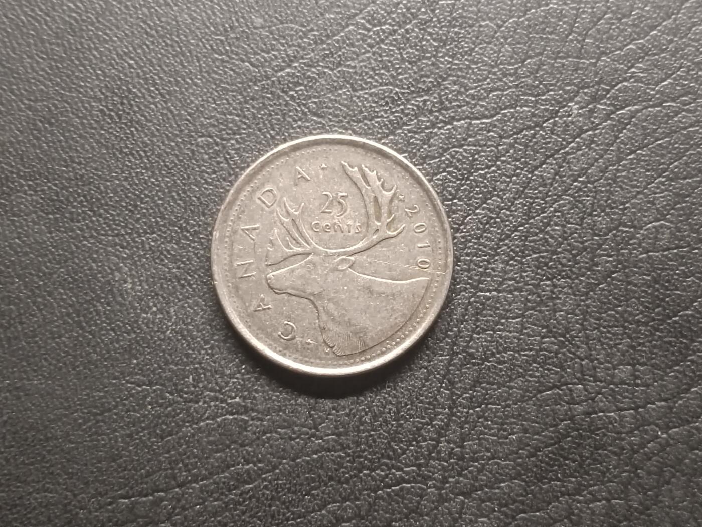 荟藏特别场次第四期——“社长的钢镚堆”