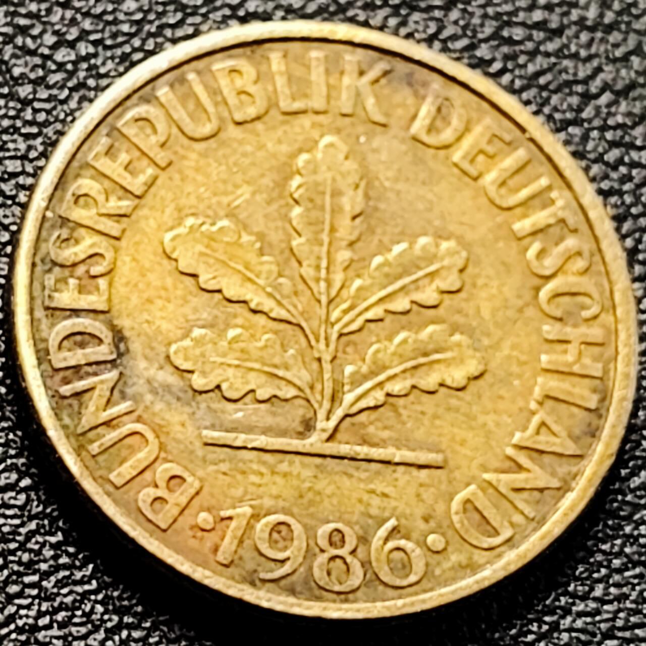 泉币菌-第204场-元宵节专场 本场拍品多 请提前出价