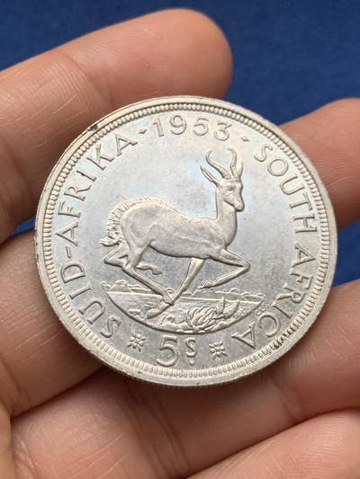 《竞宝斋》第467场 周日，周一 2场连拍 （全场包邮）欢迎送拍 - 南非1953年羚羊5先令银币