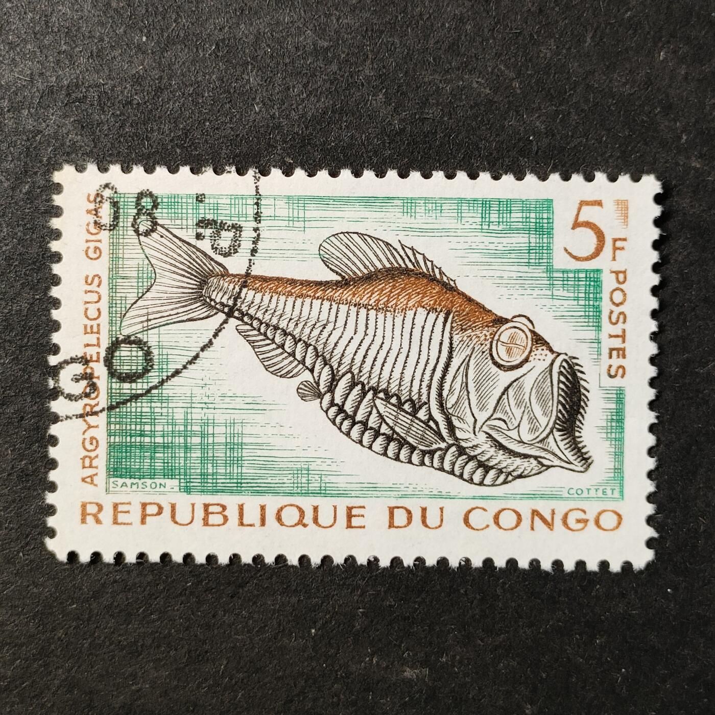 ↓君缘收藏752期☞钱币邮品↓无佣金、可寄存、满30元包邮  刚果邮票，1961年海洋生物 巨银斧鱼邮票雕刻版