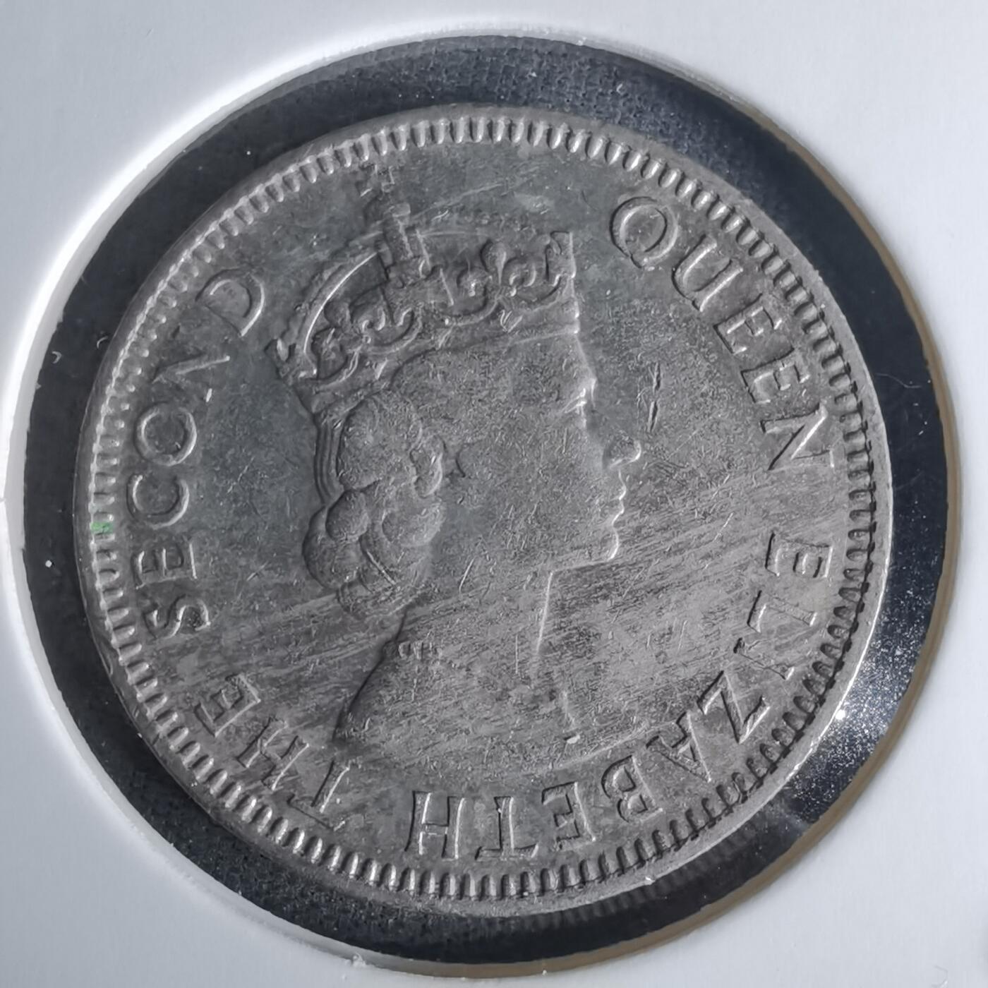 沼泽如烟--第1008场