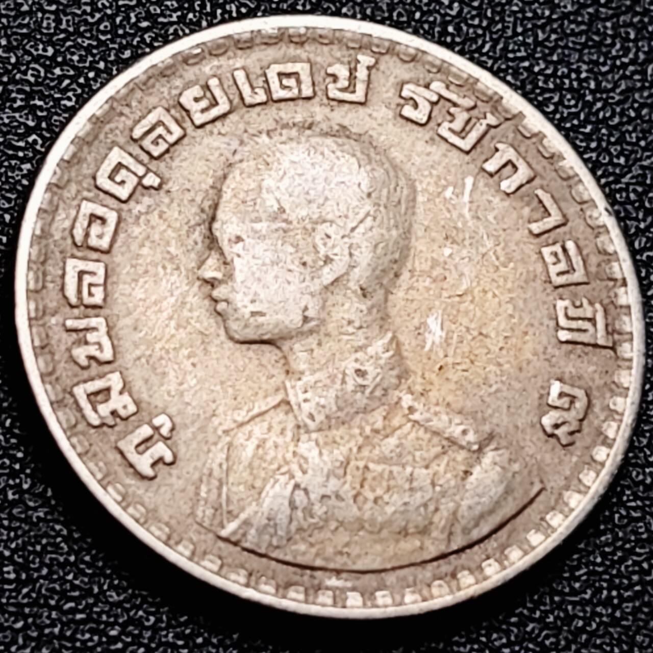 泉币菌-第204场-元宵节专场 本场拍品多 请提前出价