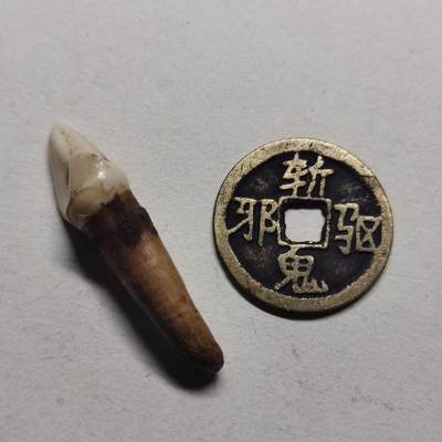 杂件专场103期 - 驱邪