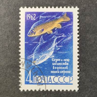 ↓君缘收藏752期☞钱币邮品↓无佣金、可寄存、满30元包邮  - 苏联邮票，1962年鱼类·鲤鱼和鳊鱼邮票