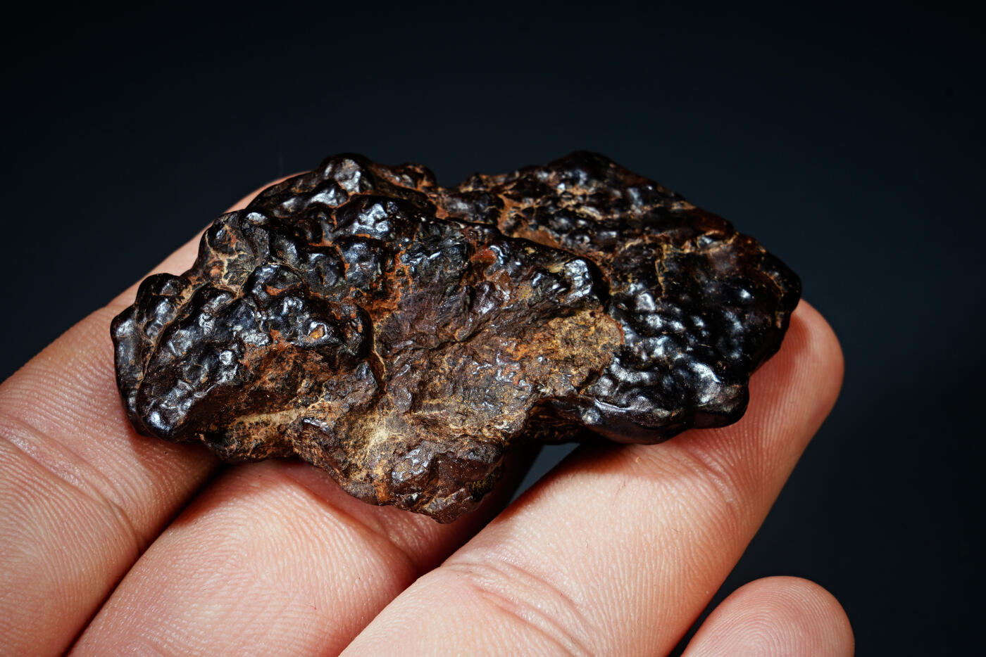 上海都达杂项专场四十四【全场包邮】  陨石连座91-92