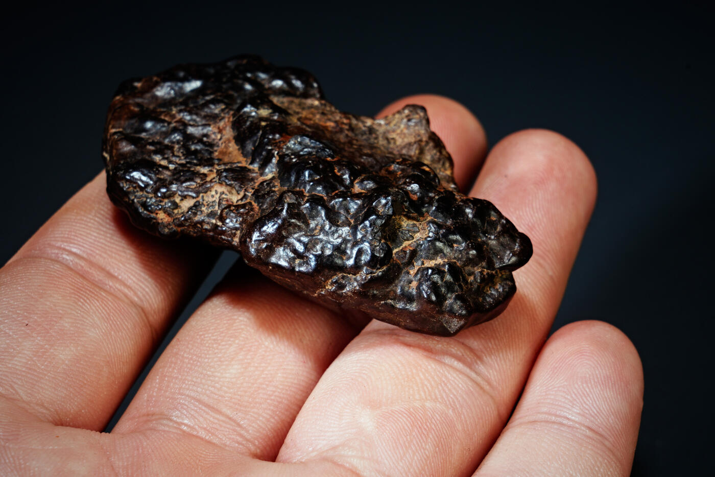 上海都达杂项专场四十四【全场包邮】  陨石连座91-92